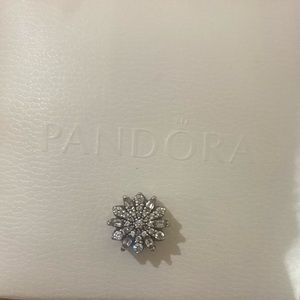 Pandora charm